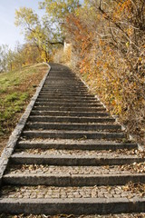 A la meta se llega por escalones