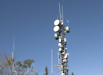 mast
