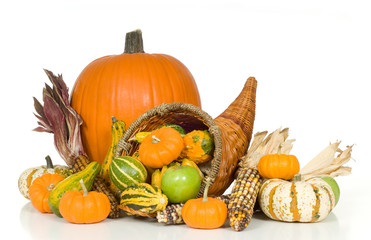 Cornucopia