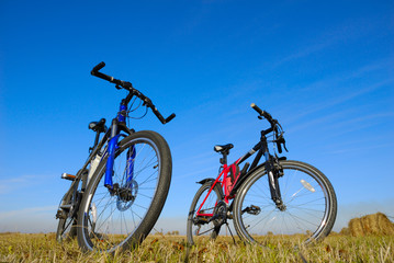  bicycles in the field