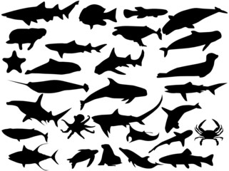 Vectors silhouette of sea creatures