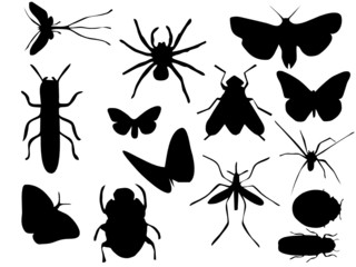 Vectors silhouette of insects