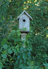 Wooden Birdhouse