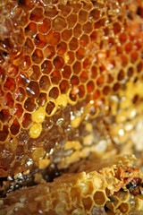 gold honeycells