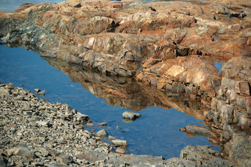 Tidal Pool at Bass Rocks