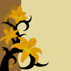 goldish lily