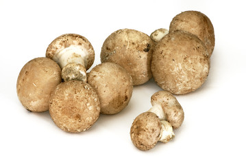 Champignons de Paris