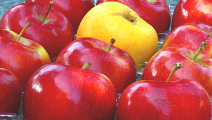 apples