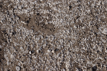 Dirt and stone surface