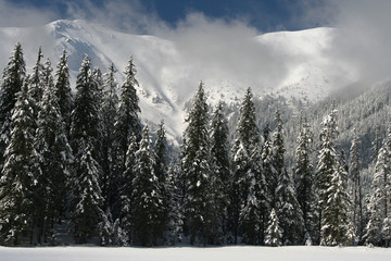 Winter in Tatra mountains