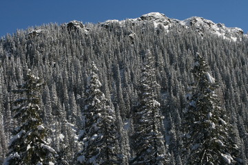 Winter in Tatra mountains © pioregur