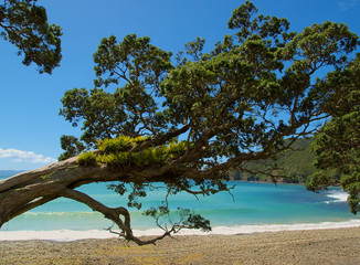 Coromandel Bucht