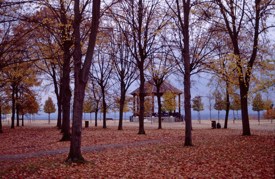 Parc de st-germain en laye