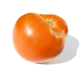 Fresh Giant Tomato with white background