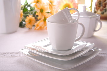 Beauty porcelain pottery