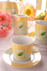 Beauty porcelain pottery