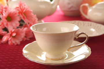 Beauty porcelain pottery