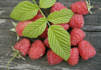 raspberries with leaves