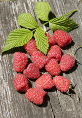 raspberries with leaves