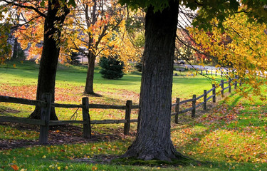 Autumn Landscape