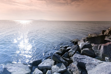 Tree and sunrise by the sea  This phote make in Balaton(Hungary)