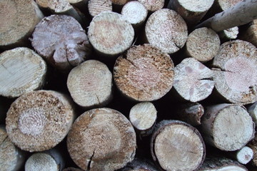 Energiesparen mit Holz