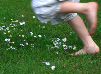 Running through daisies