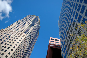 Buildings in a Business District