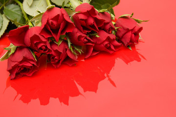 red roses