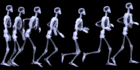 Human skelegon running