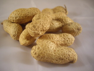 Erdnüsse 4