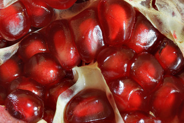 Grains of pomegranate macro