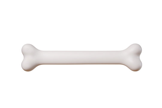 A bone isolated against white background