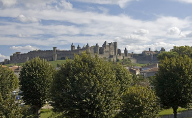 Carcassonne IX