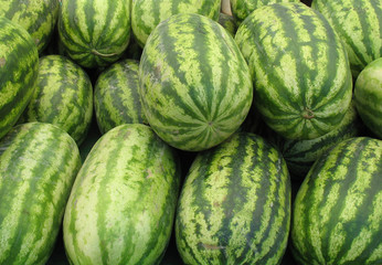 Autumn Watermelons