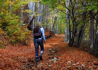 Fototapeta premium woman tourist walking in the autumn forest