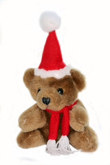 teddy bear in christmas red cap and red scarf isolated