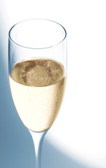 cool champagne