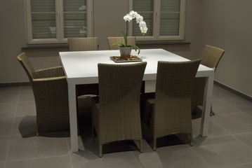 Orchid in a modern house interior