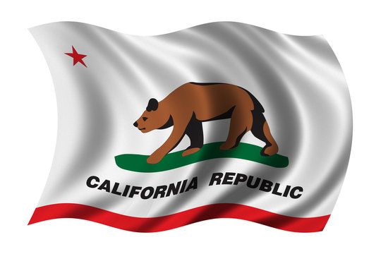 Flag Of California