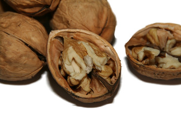open shell