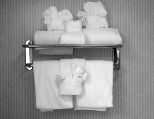 Towels #449