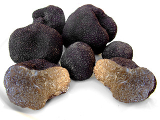 truffes 1
