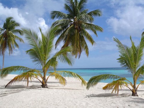 Plage des Iles Turkoises - Bahamas