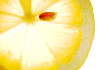 Fototapeta na wymiar Lemon slice