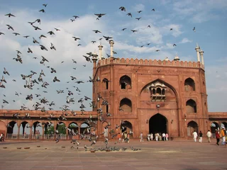 Foto op Plexiglas Inde - delhi - mosquée © Brad Pict