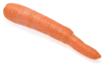 Carrot isolated with white background