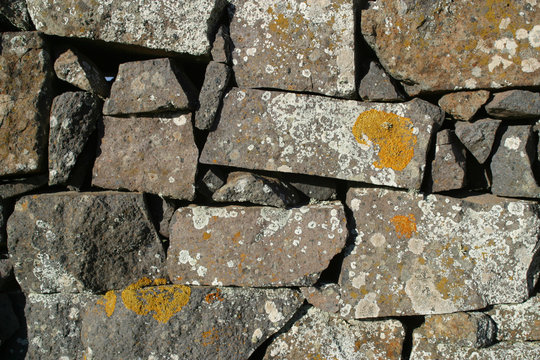 Muro