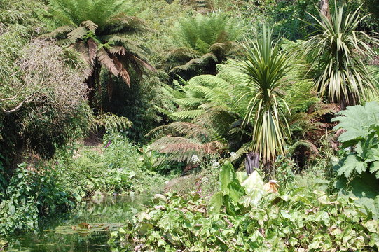 The Gardens of Heligan, Cornwall