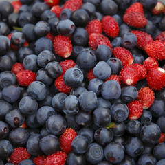 wild strawberry & bilberry